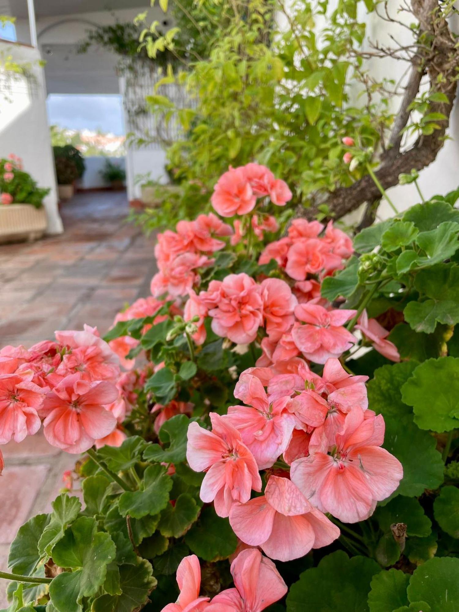 Sun Castle Apartment Fuengirola Exterior photo
